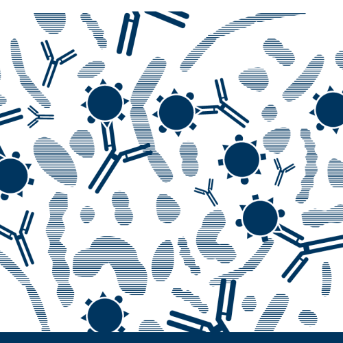 ANTIBODIES & ANTIGENS - Product overview