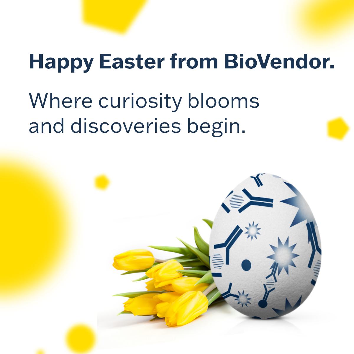 We wish you a happy Easter!
